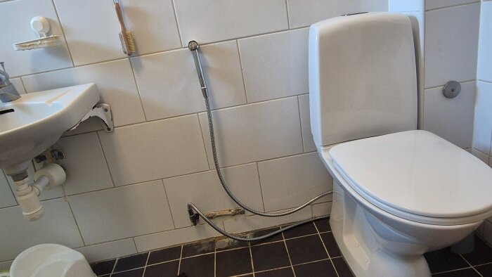Handdusch och toalett i ett badrum, med handduschslang som ligger delvis på golvet.