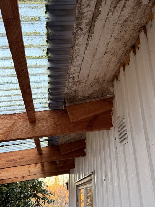 Trätakbjälkar under ett korrugerat plasttak på en veranda, fästa mot husväggen med passbitar mellan bjälkar och takfot.
