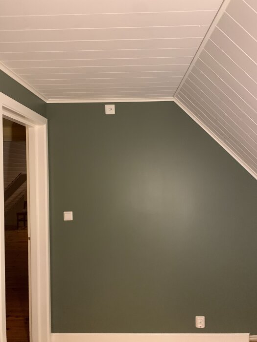 Vägg i kontor/gästrum med grön målarfärg, vitt tak med panel och vita dörrkarmar, eluttag synligt nära golvet.