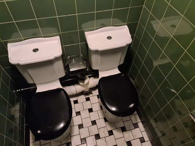 Två toalettstolar bredvid varandra i ett kaklat badrum med gröna väggar och svartvit rutigt golv.