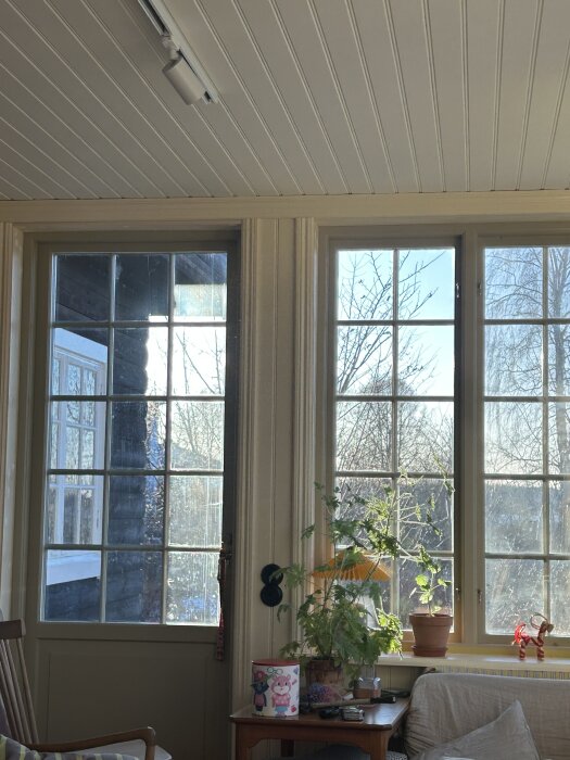 Veranda med höga fönster, växt på bord, stol samt ljus taklist; del av byggprojekt med speciallösningar.
