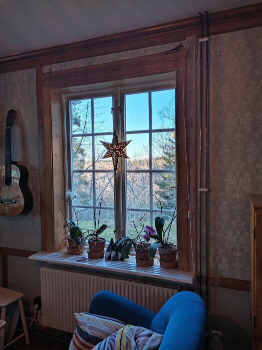 Fönster med stjärnlampa och blomkrukor, gitarr på väggen, blå fåtölj med färgglada kuddar i rum med mönstrad tapet.