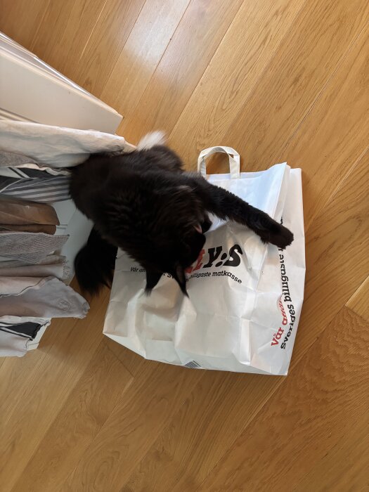 Svart katt leker med en vit papperspåse på ett trägolv.