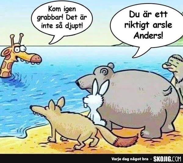 En giraff i vattnet ropar att det inte är djupt, medan en björn, kanin och varg anklagar giraffen för att ljuga.