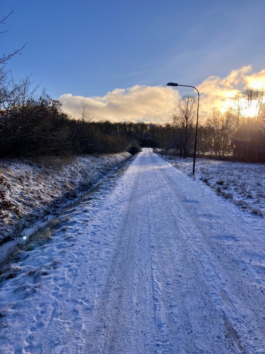 Snötäckt väg under en klarblå himmel med lågt stående sol, omgivet av buskar och träd med frost, samt en ensam gatlykta.