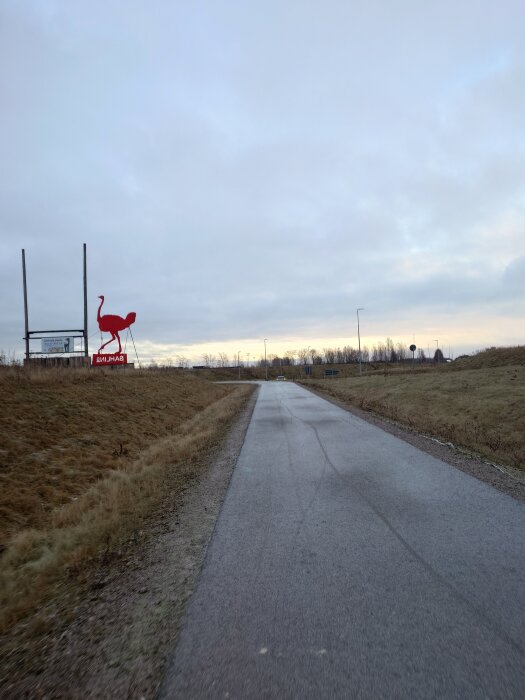 Asfalterad väg i landsbygden, omgiven av gräs och fält, med en röd strutsformad skylt på vänster sida under en molnig himmel.