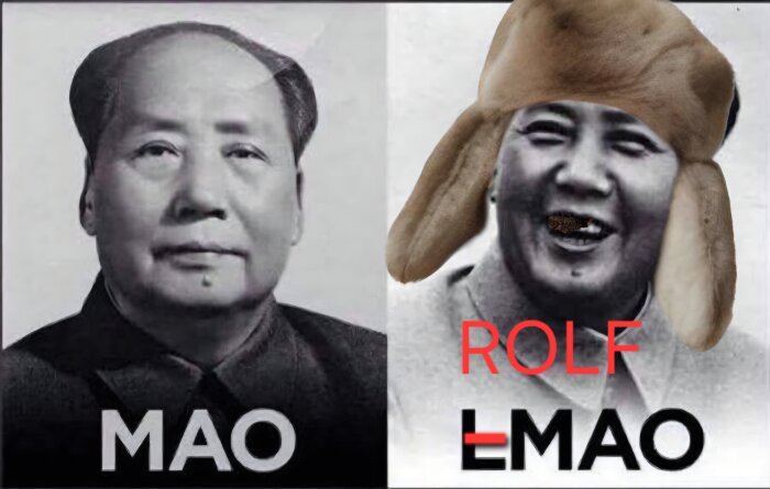 Två bilder av samma person; den vänstra allvarlig, den högra med pälsmössa och skrattande. Texten "Mao" och "Rolf" med ändrat namn.