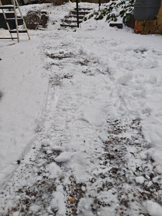 Snöig uppfart med spår av snöröjning. Ojämn och grusig mark syns genom snötäcket. Trappa och buskar i bakgrunden.