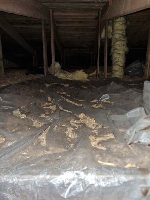 Bild av ett mörkt kryputrymme med synliga träbalkar i taket och isoleringsmaterial runt pelare. Trasig plast och träspån på marken.