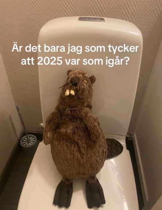 En brun bäverplyschleksak sitter på ett toalettlock, med text ovan som lyder: "Är det bara jag som tycker att 2025 var som igår?