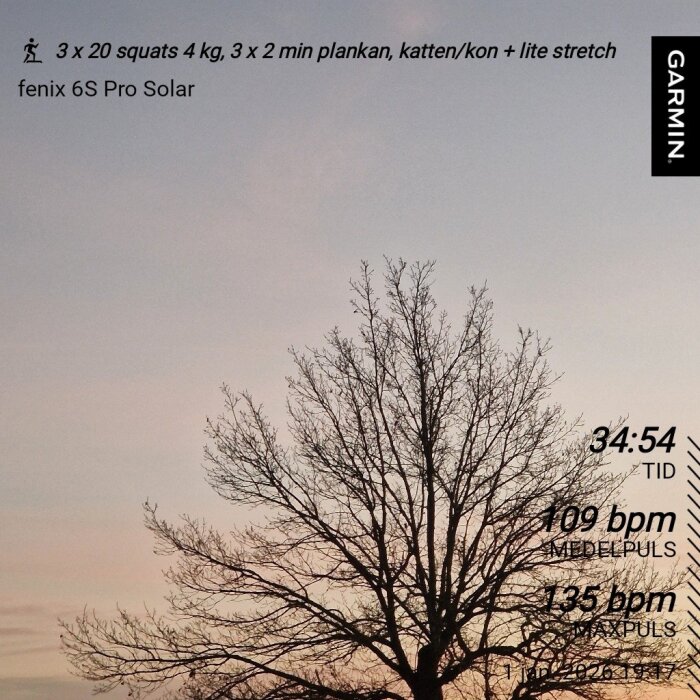 Träd utan löv mot en solnedgångshimmel med text om träningspasset med 3 x 20 squats, plankan, katten/kon och stretching, samt Garmin-logotyp.