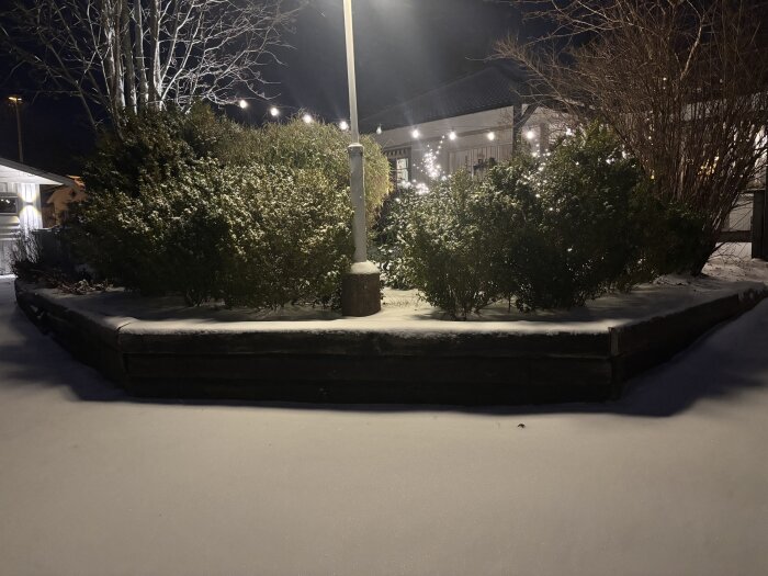 Snötäckt uteplats med buskar och träd i skymningen, omgiven av ljusslingor och ett ljusupplyst staket, ger ett vinterligt intryck.