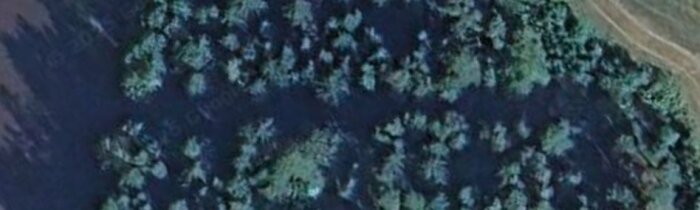 Satellitbild som visar en skog från ovan, med ett smalt, ljust område vid kanten som kan vara en väg eller stig.