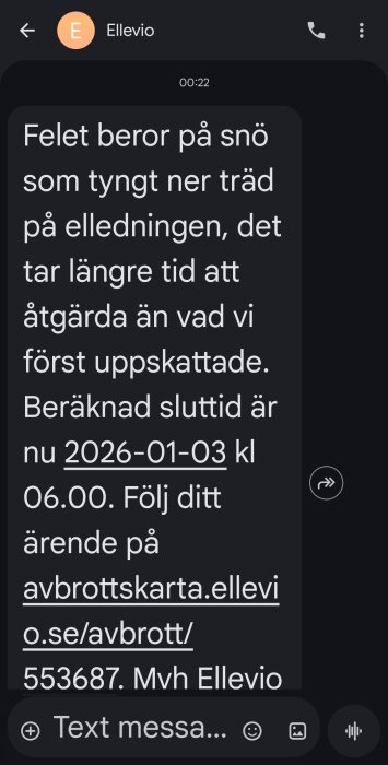 Textmeddelande från Ellevio om strömavbrott på grund av träd som fallit på elledningar. Beräknad åtgärdstid kl. 06.00, 3 januari 2026.