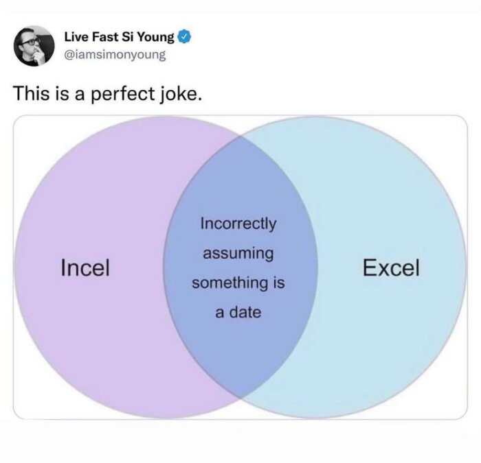 Venn-diagram med orden "Incel" och "Excel", överlappande del säger "Incorrectly assuming something is a date".
