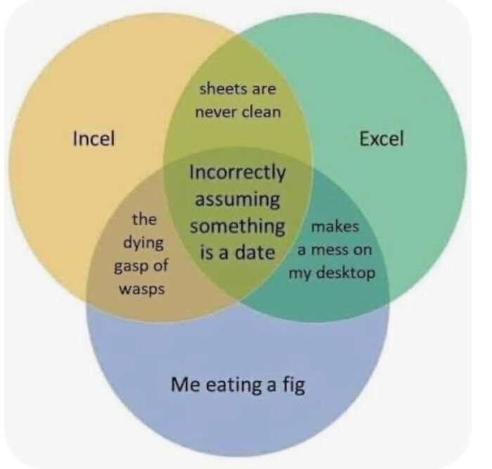 Venn-diagram med tre cirklar: "Incel", "Excel" och "Me eating a fig". Överlappningarna har humoristiska texter.