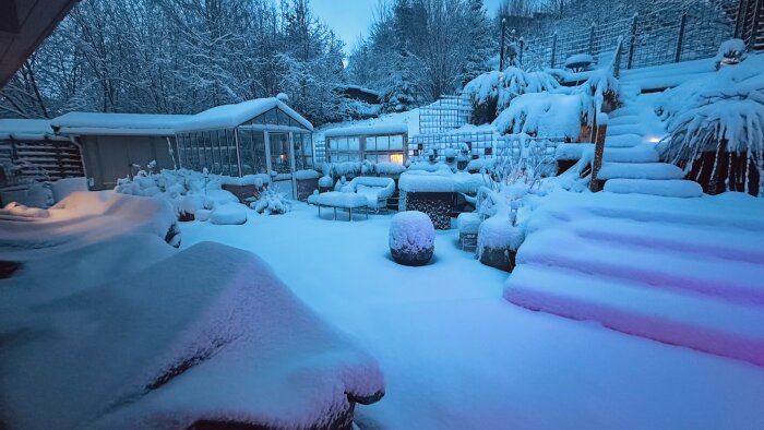 Snötäckt trädgård med växthus och trappor, vintertid.