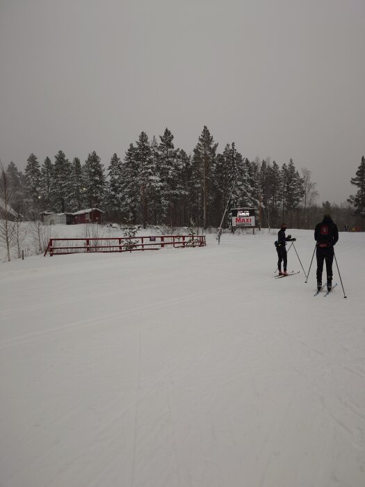 Två personer åker skidor på en snöklädd väg med snötäckta träd i bakgrunden.