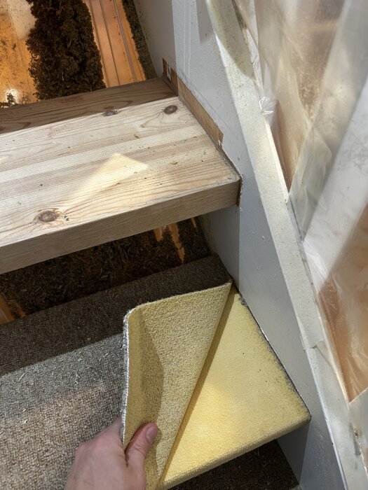 Hand drar bort gammal matta från ett trappsteg för renovering, visar gul undersida. Trappan har delvis slipats och täckplast finns på väggen.