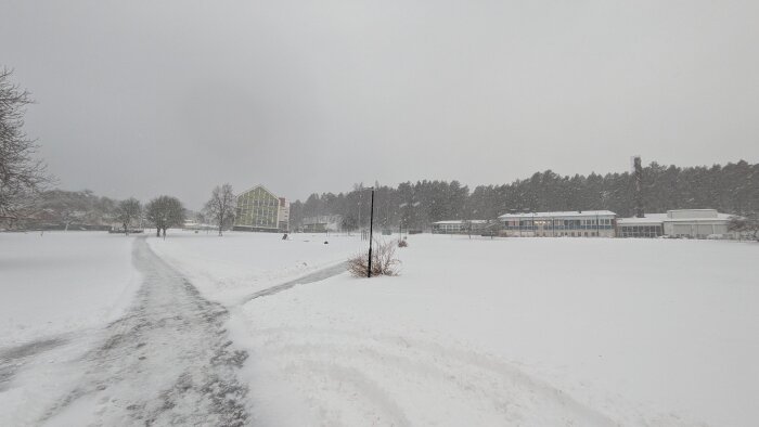 Snöigt landskap med en väg genom en öppen vit yta, omgiven av träd och byggnader, under en grå, molnig himmel.