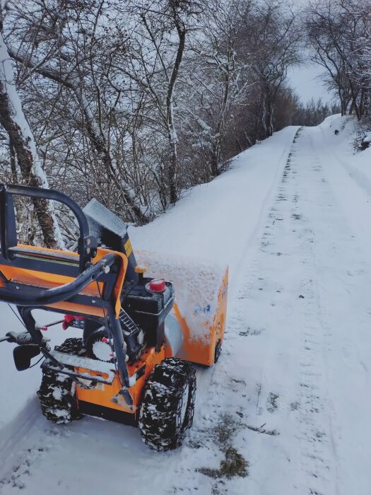 Orange snöslunga står på en snöig väg omgiven av snötäckta träd, använd för att röja omfattande snömängder.