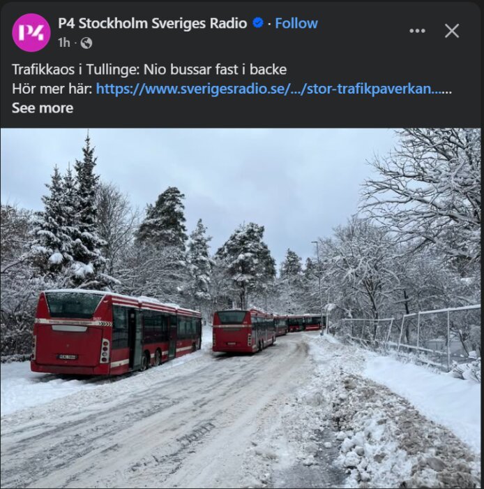 Nio röda bussar fast på en snötäckt väg i en backe, omgivna av snötäckta träd i vinterlandskap.