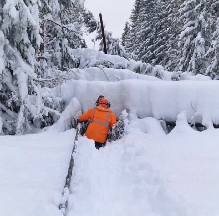 Person i orange arbetskläder utför underhåll på ett snötäckt lokalnät i skogen, omgiven av snötäckta träd.