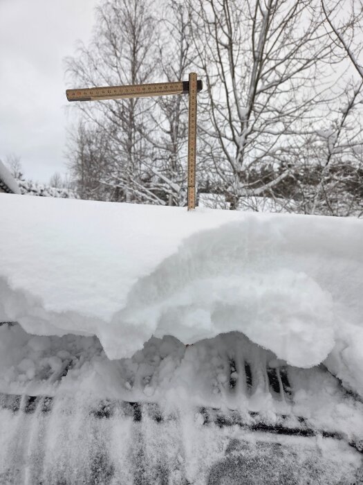 Snötäckt bil med en mätsticka som visar snödjupet, omgiven av vinterlandskap med snötyngda träd.