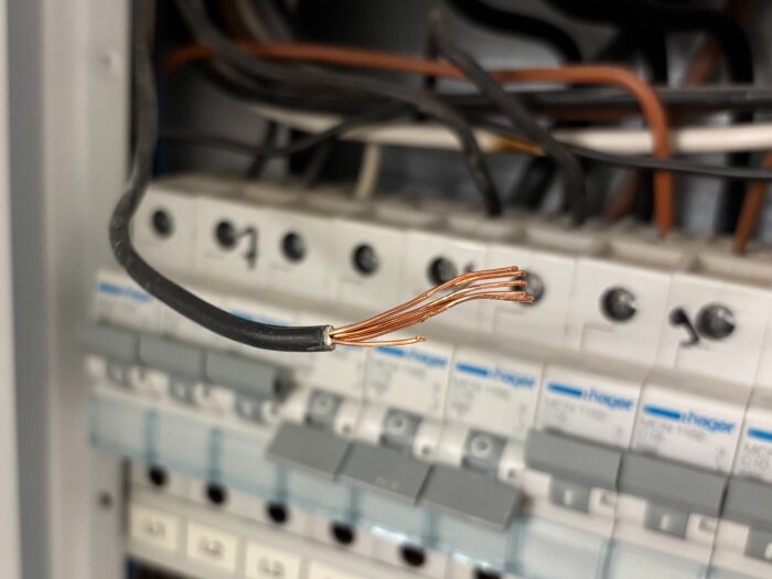 Avskalad elektrisk kabel med synliga koppartrådar framför en rad av dvärgbrytare i ett elskåp.