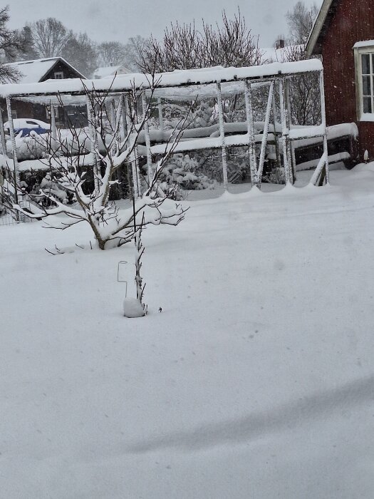 Snötäckt trädgård med snö på marken och en hönsgård i bakgrunden, träd och buskar täckta av snö, en röd byggnad syns delvis.
