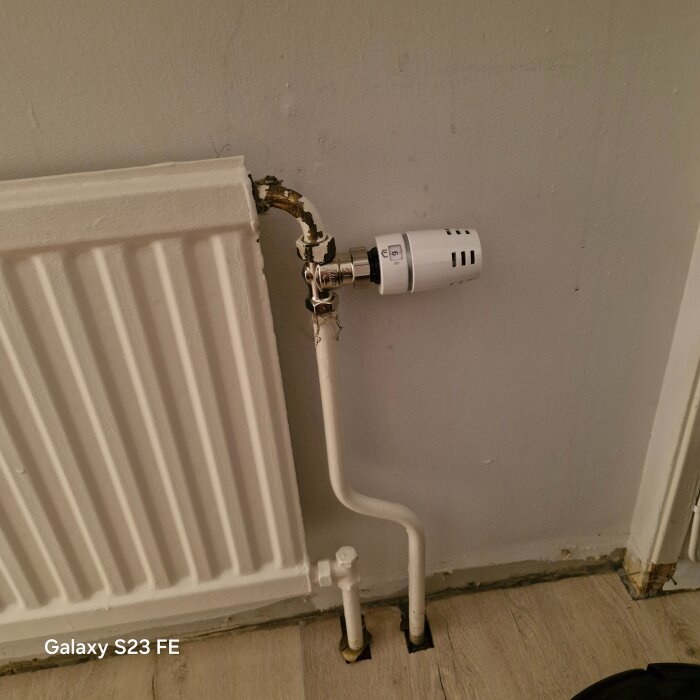 20260104_201209.jpg