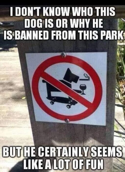 Skylt som förbjuder en hund att åka skateboard, röka och dricka vin i parken. Text skämtar om hundens festliga stil.