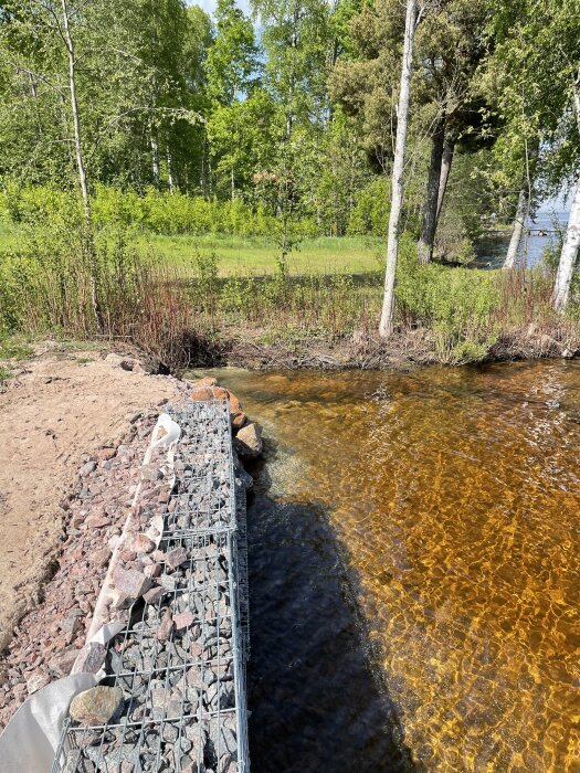 Gabioner vid strandkanten omgivna av grönska och ett klart vatten med varierande nivåer, del av ett förstärkningsprojekt.
