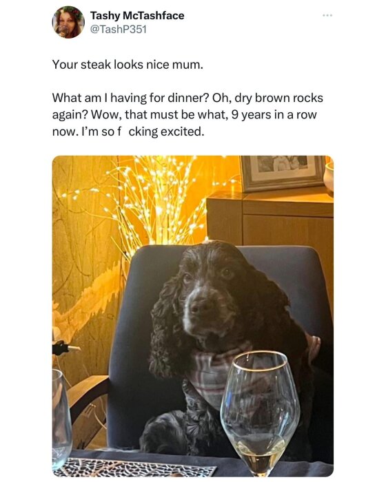 En hund sitter på en stol vid ett dukat bord med vinglas, omgiven av dekorativa ljus i bakgrunden.