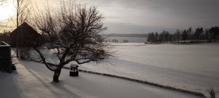 Snötäckt landskap med träd, buskar och en gårdsbrunn. Solen skiner och skapar långa skuggor över snön. I bakgrunden syns en sjö.