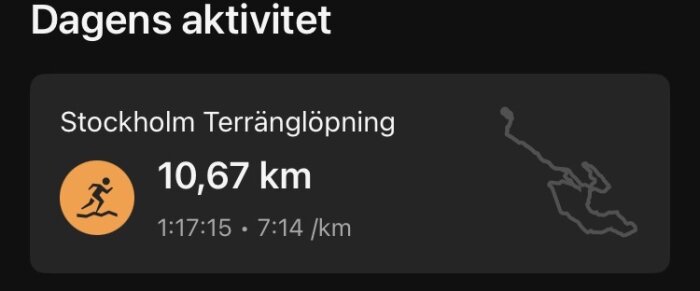 Aktivitetsskärm som visar att en terränglöpare i Stockholm har sprungit 10,67 km på 1:17:15 med en snitthastighet på 7:14 min/km.