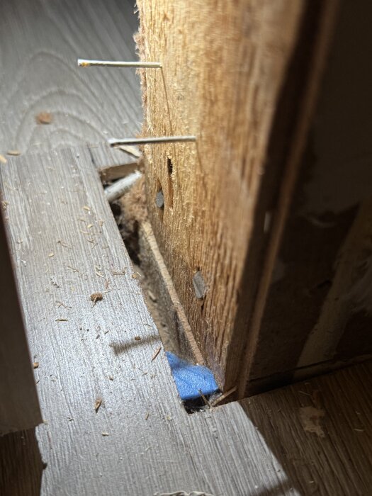 Närbild av en träbjälke med blå markering där golvet möter väggen, samt några utskjutande spikar eller stift.