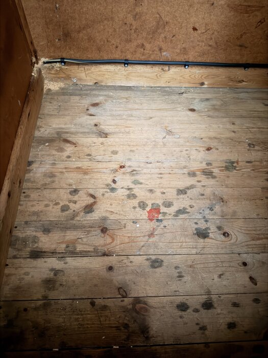 Fläckar av möjlig mögelväxt på gammalt trägolv i en kattvind, med ledning längs väggen.