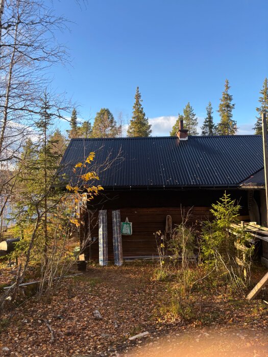 Svart tak med ny konstruktion, omgiven av träd och löv på marken, visar renoveringsarbeten där takfoten har höjts. Skorstenen väntar på förlängning och plåtbeklädnad.