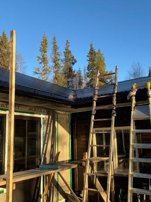 Rivning av gammalt tak på husbygge, med nya takmaterial, stegar och verandakonstruktion i trä; omgivande skog i bakgrunden.