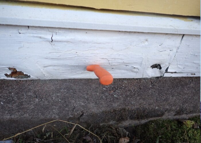 Rötskador på vitmålad träsyll vid betongfundament, med en orange plastmarkör som visar på skadans placering och omfattning, nära stuprör.