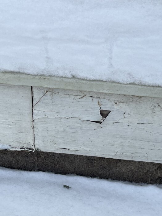 Rötskada på vitmålad syllplanka vid snötäckt fundament.