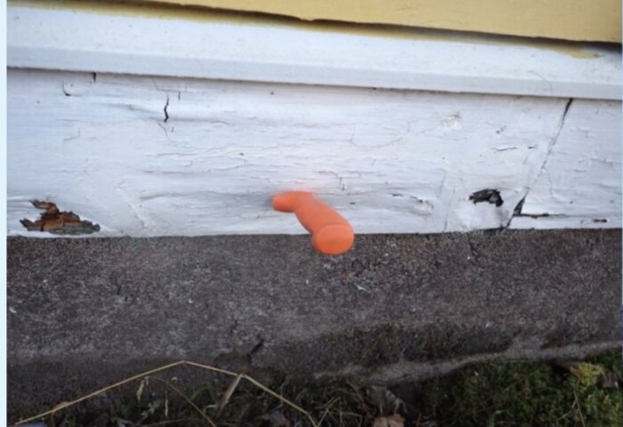 Ruttna partier på vit bräda vid husgrund med orange verktyg för borttagning.