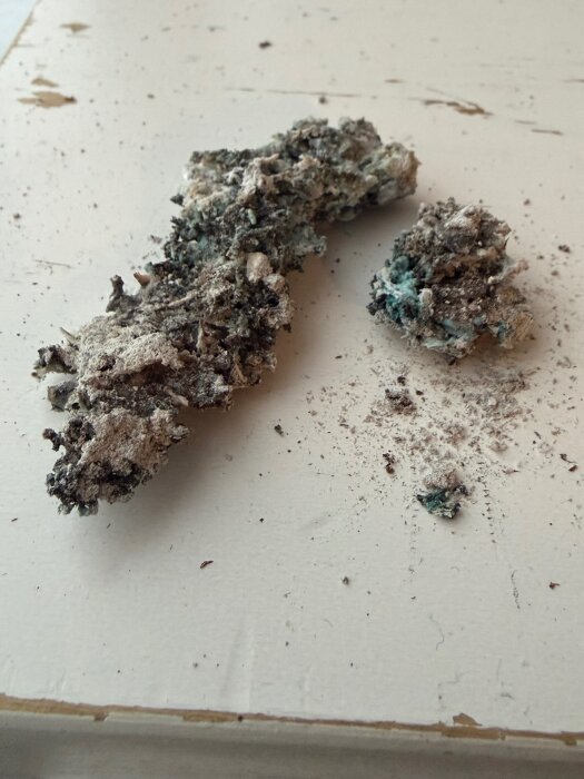 Fukt- eller mögelskadat material på vit yta, med smuliga och missfärgade bitar.