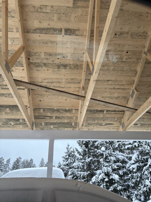 Takstolar i en carport med synlig mögelpåväxt på panelerna, omgivna av snöklädda träd.