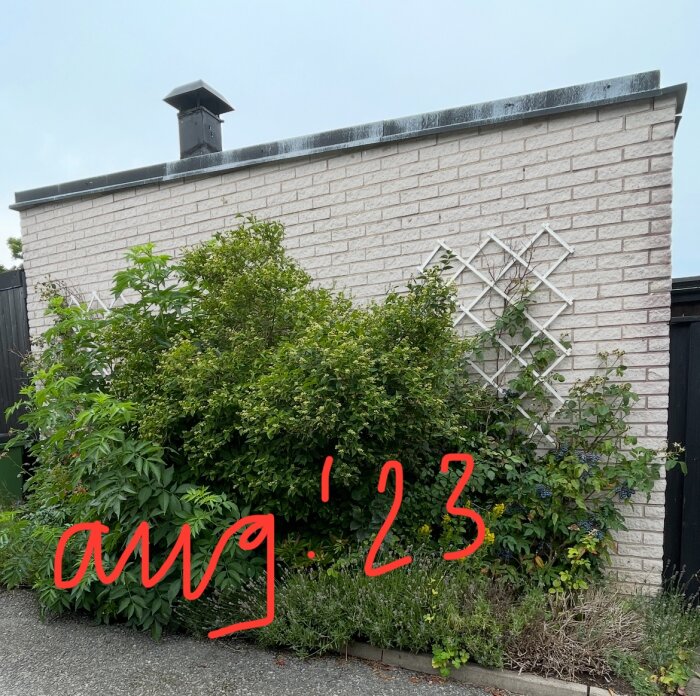 Vit tegelvägg omgiven av gröna buskar, med röd text "aug. '23" över bilden.