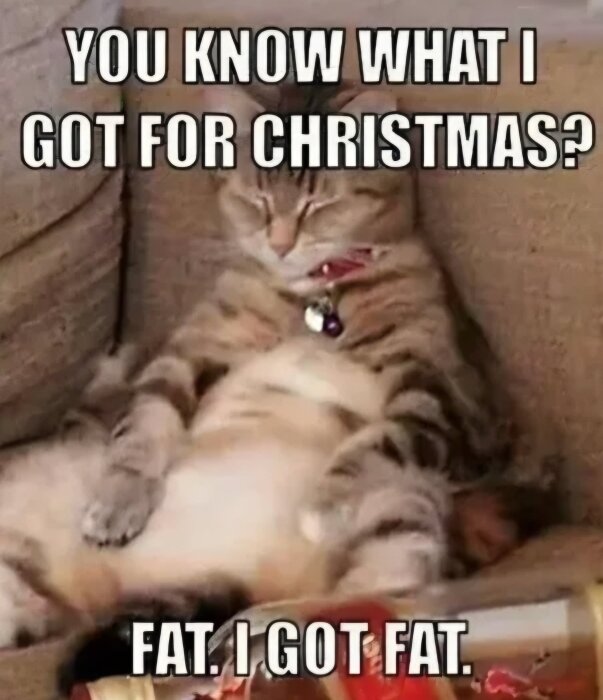 En katt sover på en soffa med citatet "You know what I got for Christmas? Fat. I got fat." ovanför och under katten.