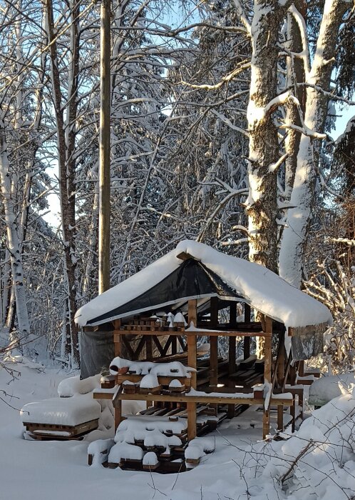 Snötäckt träställning i skogsmiljö, täckt med presenning efter storm och snöfall. Solbelysta träd omkring.