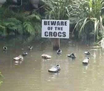 Skylt med texten "Beware of the Crocs" i damm med flytande sandaler, omgivna av grönska.