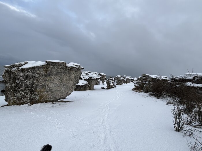 Snötäckta kalkstensformationer och buskar vid kusten under en mulen himmel.